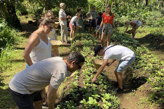 Balinese Traditional Farm Cooking Class and Market Tour - What You Need to Know About This Cooking Tour