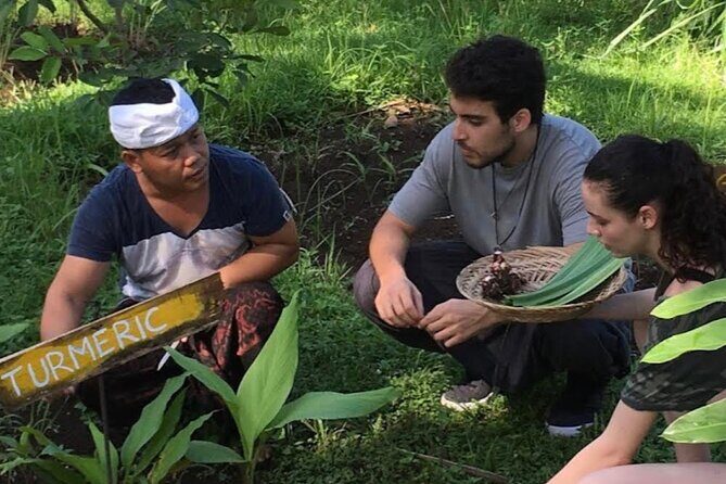 Balinese Traditional Farm Cooking Class and Market Tour - The Practicalities and Value