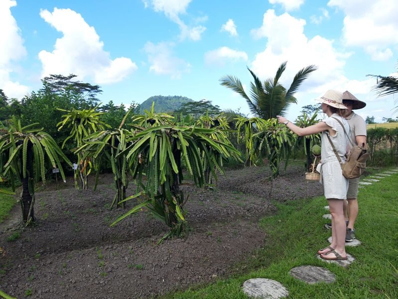 Balinese Vegan Cooking Class in East Bali with Garden Tour - Lunch with garden and hill views