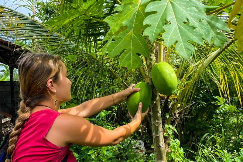 Balinese Vegan Cooking Class in East Bali with Garden Tour - What the price covers, and what it doesn’t