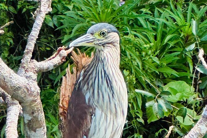 Balinsasayao Twin Lakes Half Day Tour | Tours in English - Final Thoughts: Is It Worth Your Time?