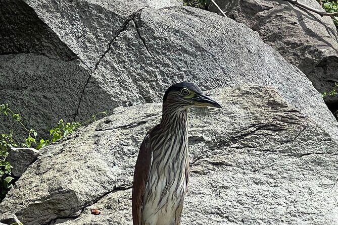 Balinsasayao Twin Lakes Half Day Tour | Tours in English - FAQs