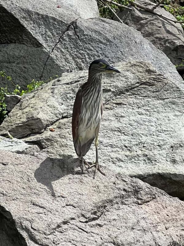 Balinsasayo Twin Lakes Half-Day Shared Tour in English - The Journey to the Twin Lakes