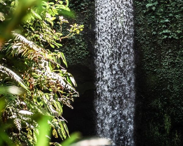 Balis Best: 3 Day Tours Package - Booking Process