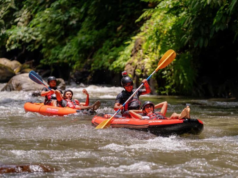 Balis Best Rated Kayak Adventures - Discover Bali’s Best Kayaking Adventure: A Complete Review of Surya Bintang Adventures
