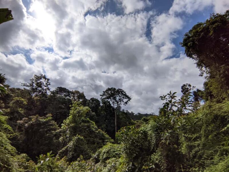 Balis Mystical Jungle Trek & Hidden Waterfall Adventure - Good To Know