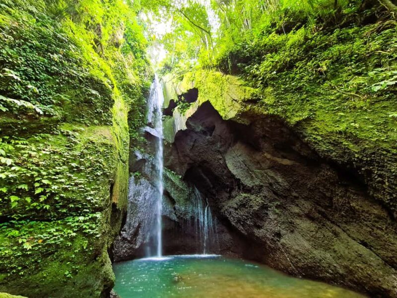 Balis Mystical Jungle Trek & Hidden Waterfall Adventure - An Honest Look at the Bali Jungle Trek & Waterfall Experience
