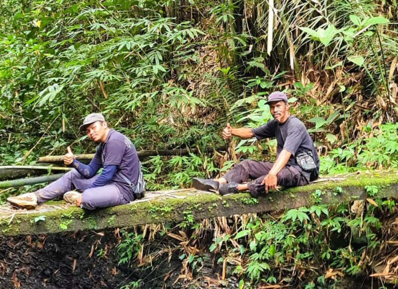 Balis Mystical Jungle Trek & Hidden Waterfall Adventure - Who Will Love This Experience?