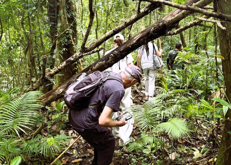 Balis Mystical Jungle Trek & Hidden Waterfall Adventure - Final Thoughts