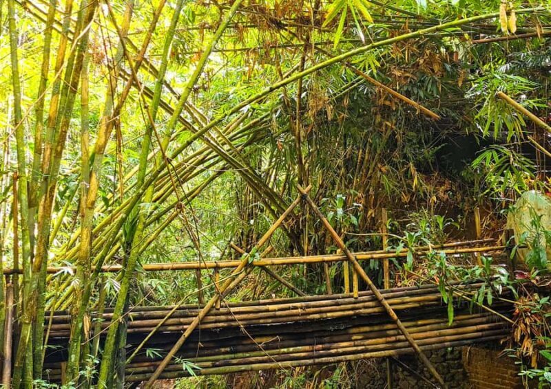 Balis Mystical Jungle Trek & Hidden Waterfall Adventure - Frequently Asked Questions