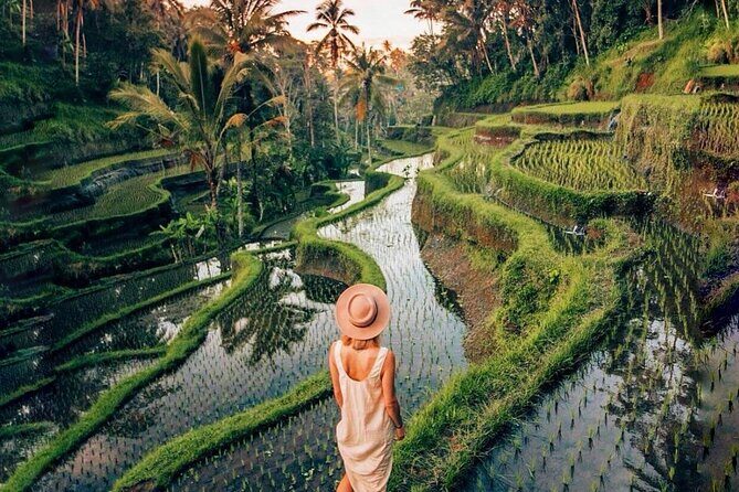 Balis Natural Beauty: Waterfalls, Rice Terraces & Sacred Temple - Who Will Love This Tour?