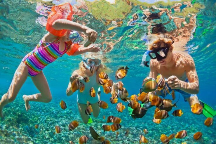 Bali:Snorkeling at Blue Lagoon With Lunch & Transfer - Good To Know