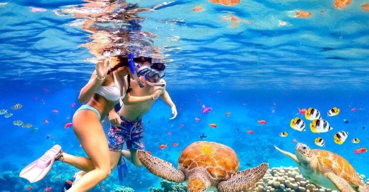 Bali:Snorkeling at Blue Lagoon With Lunch & Transfer - Tour Duration and Flexibility