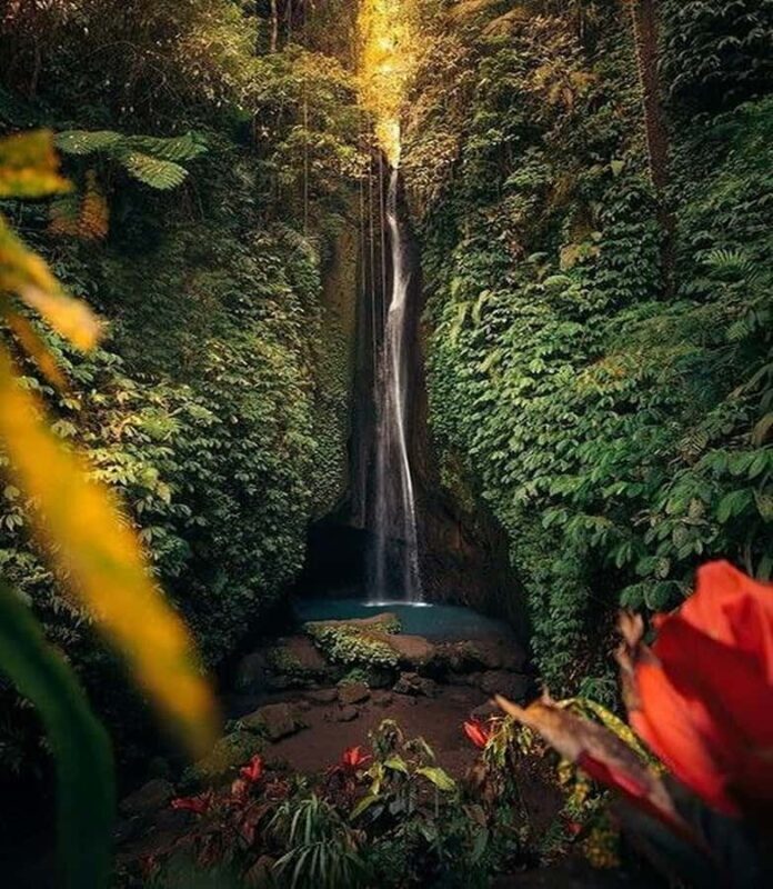 Bali:Ulun Danu, Waterfalls, Handara Gate, Cofee Planta Tour - Who Would Love This Tour?