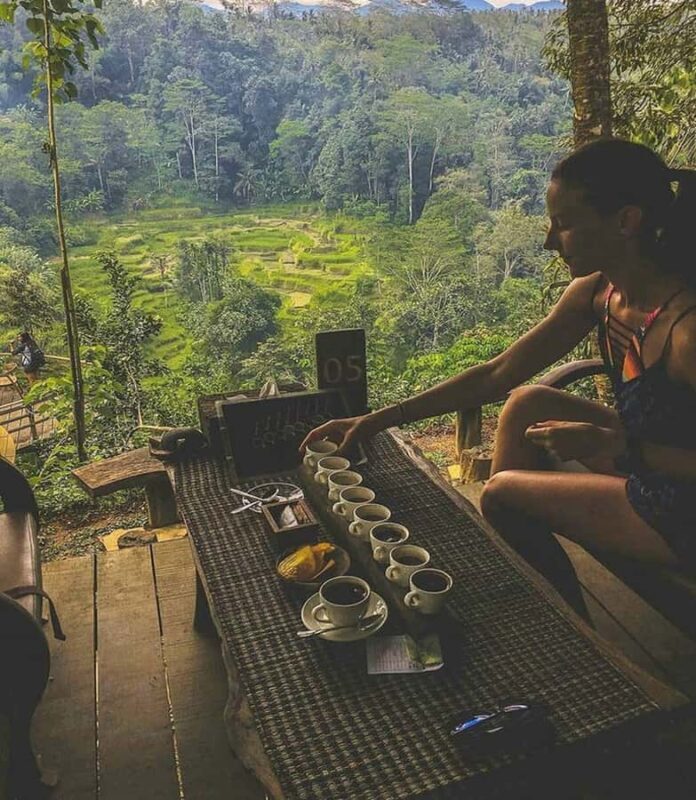 Bali:Ulun Danu, Waterfalls, Handara Gate, Cofee Planta Tour - Final Thoughts