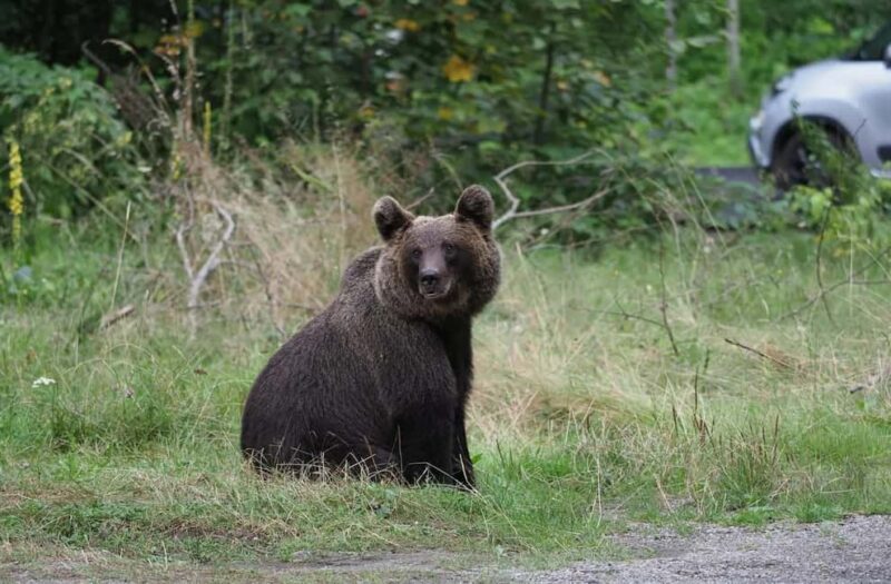 Balkans - Romania: 12-Days Motorcycle Tour 16.08. - 28.08.26 - FAQ