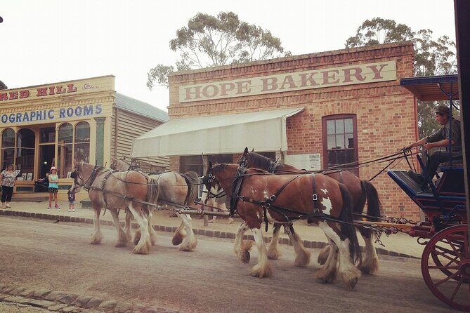 Ballarat Gold Fields - Sovereign Hill & Winery Tour - Discovering Sovereign Hill: Step Back into the Gold Rush Era