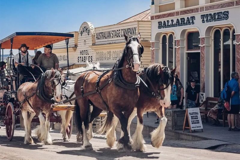 Ballarat Gold Mining Town Full-Day Heritage Tour - How the guide shapes the day