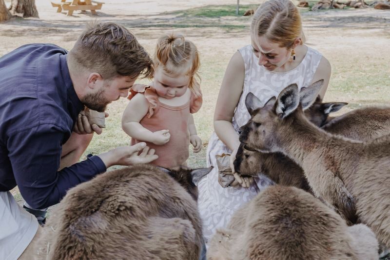 Ballarat Wildlife Park General Ticket - Start with the kangaroos, not the map