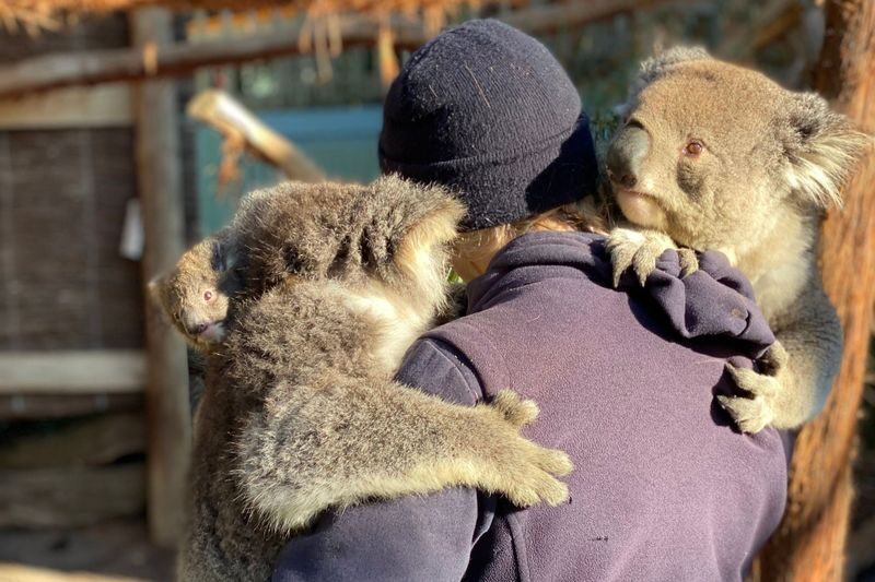 Ballarat Wildlife Park General Ticket - Use the presentation schedule to shape your visit