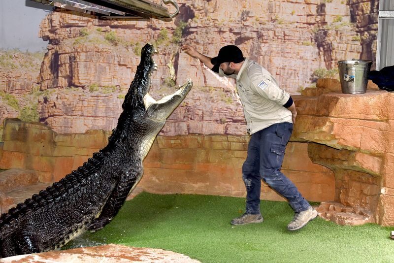 Ballarat Wildlife Park General Ticket - What the ticket costs, and what it leaves out
