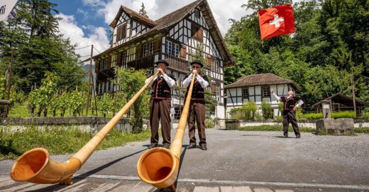 Ballenberg Museum Ticket - Payment Flexibility Options