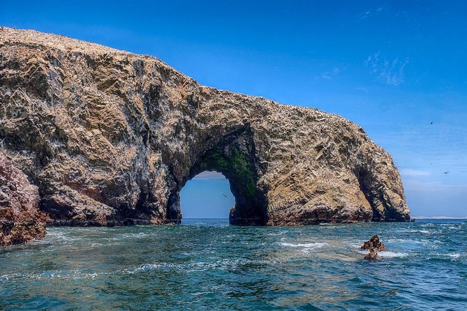 Ballestas Islands and Paracas Reserve From San Martin Port - Overview of Ballestas Islands and Paracas Reserve