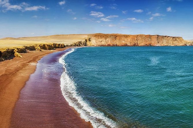 Ballestas Islands and Paracas Reserve From San Martin Port - Meeting and Pickup Details