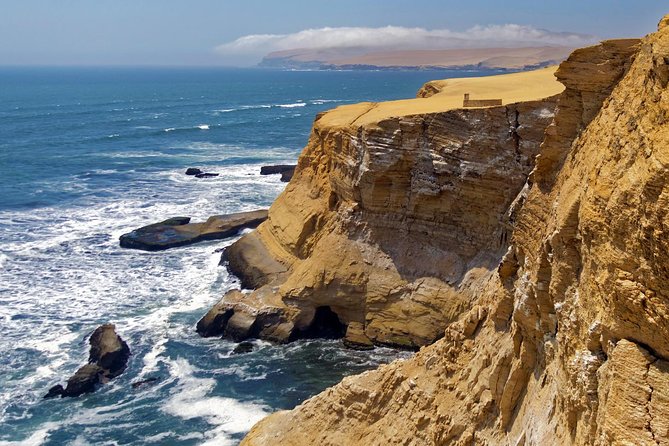 Ballestas Islands and Paracas Reserve From San Martin Port - Reviews and Feedback From Travelers