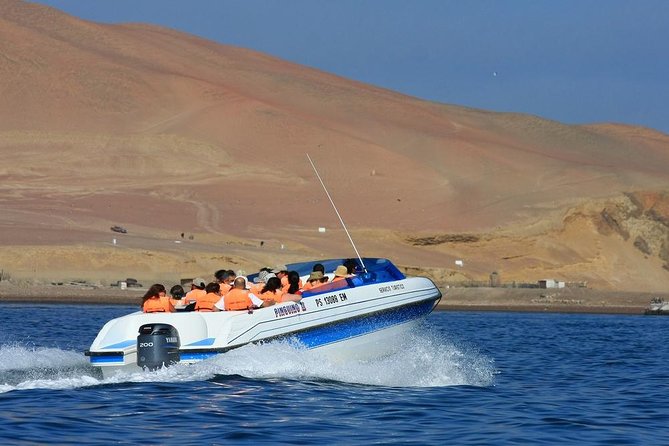 Ballestas Islands & Paracas National Reserve - Private - What to Expect at Ballestas Islands