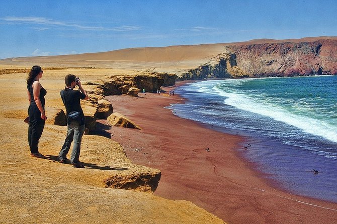 Ballestas Islands & Paracas National Reserve - Private - Traveler Photos