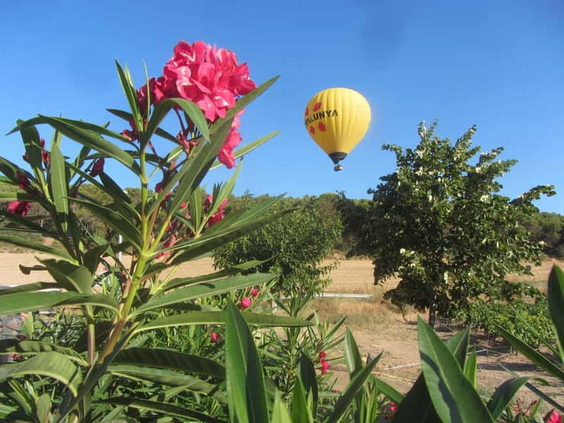 Balloon flight: panoramic view of Montserrat and Transport from Barcelona - Good To Know