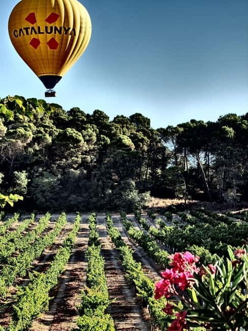 Balloon flight: panoramic view of Montserrat and Transport from Barcelona - Detailed Review