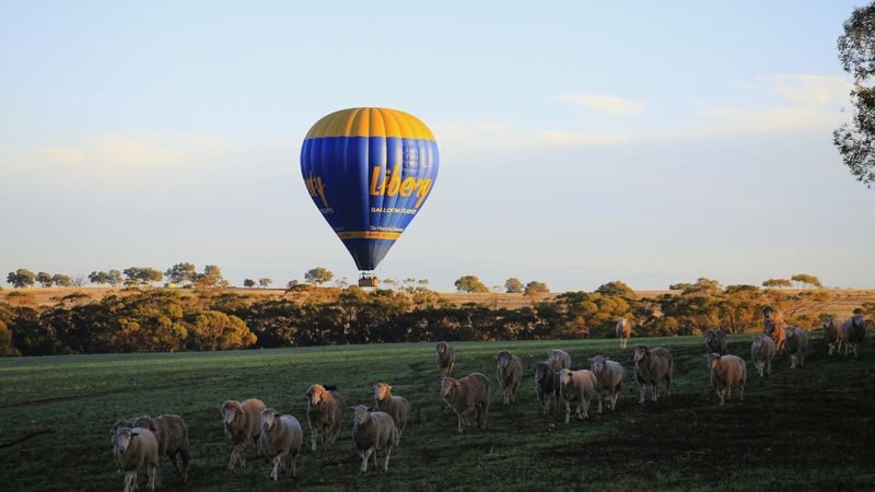Ballooning in Avon Valley (Inc transport from Perth and Breakfast) - Landing, pack-up and breakfast in Northam