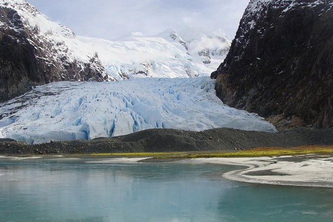 Balmaceda and Serrano Glaciers Sightseeing Cruise From Puerto Natales - Customer Feedback