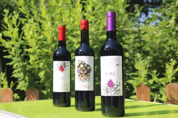 Balones: Guided Tour & Food Pairing With Local Oils & Wines - Meeting Point