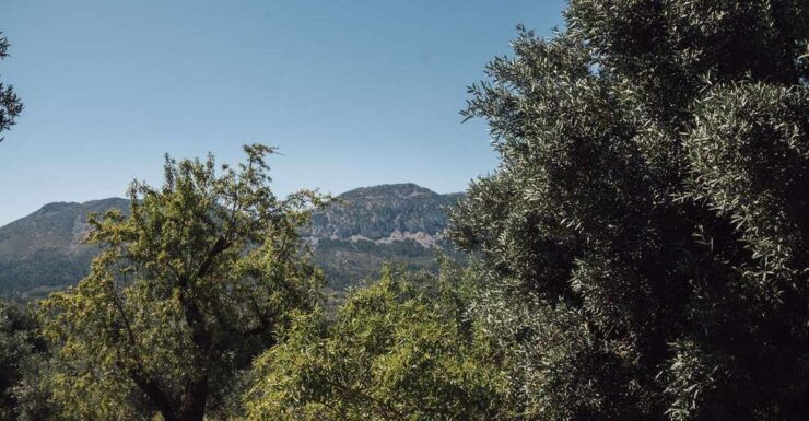 Balones: Guided Tour & Tasting - Experience Itinerary