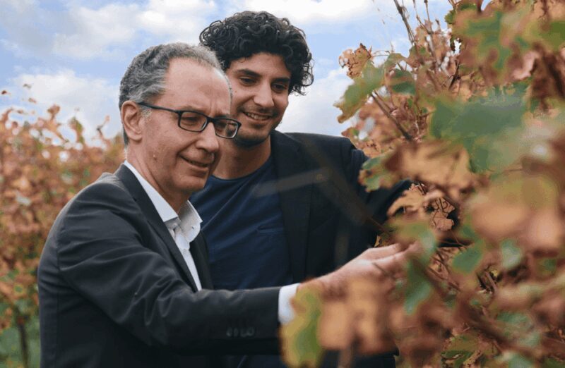 Balsamic Vinegar Tasting & Barrel Tour near Parma & Reggio - A Closer Look at the Tour Experience