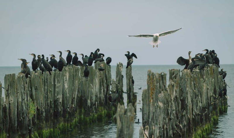 Baltic Sea Coastal Scenery and Cape Kolka From Riga - Good To Know