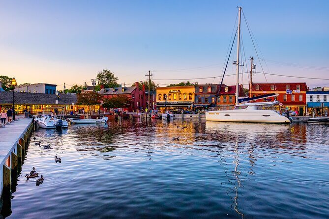 Baltimore & Annapolis Private Day Tour - A Deep Dive into the Tour Experience