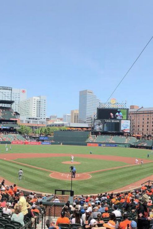 Baltimore: Baltimore Orioles Baseball Game at Oriole Park - Good To Know