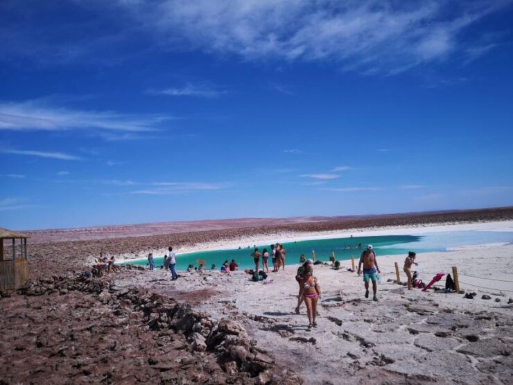 Baltinache Lagoons AM - Activity Details