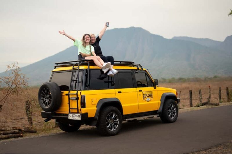 Baluran National Park Jeep Tour With Experienced Guide - What to Expect from Your Baluran Jeep Tour
