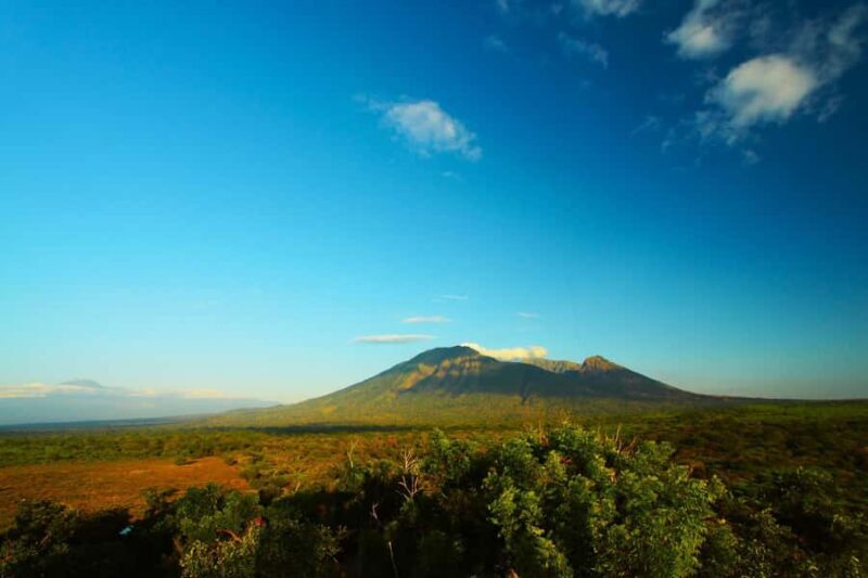 Baluran Park Wildlife Day Tour: Java's Africa-Style Safari - Who Would Love This Tour?  