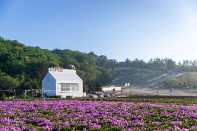 Balwangsan Cable Car & Samyang Ranch One Day Tour - Balwangsan Cable Car Experience