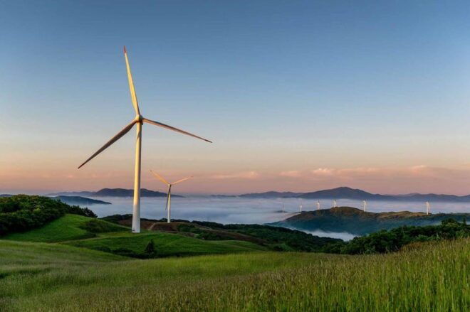 Balwangsan Cable Car & Samyang Ranch One Day Tour - Discovering Samyang Ranch