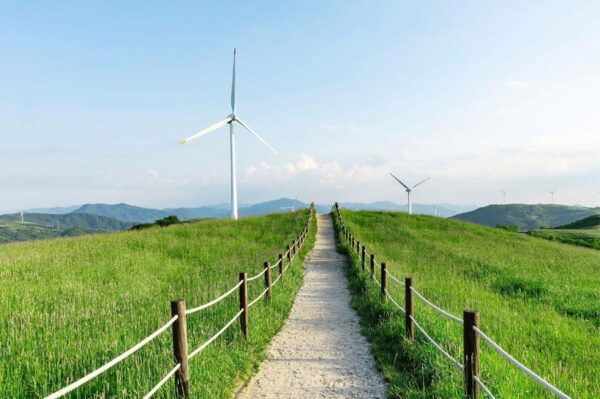 Balwangsan Cable Car & Samyang Ranch One Day Tour - Booking Information and Tips