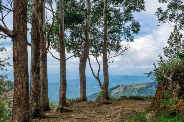 Bambarakanda to Devils Staircase Jeep Safari - What to Bring