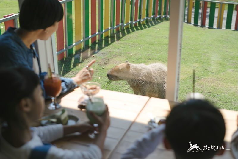Bambi Land Ticket in Yilan - Should you book Bambi Land?