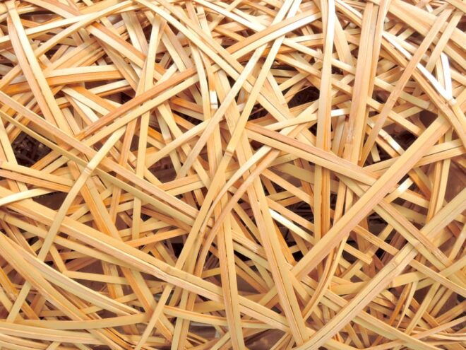 Bamboo Artistry & Zen Serenity: Tranquility With Ginkaku-Ji - Tour Inclusions and Meeting Point